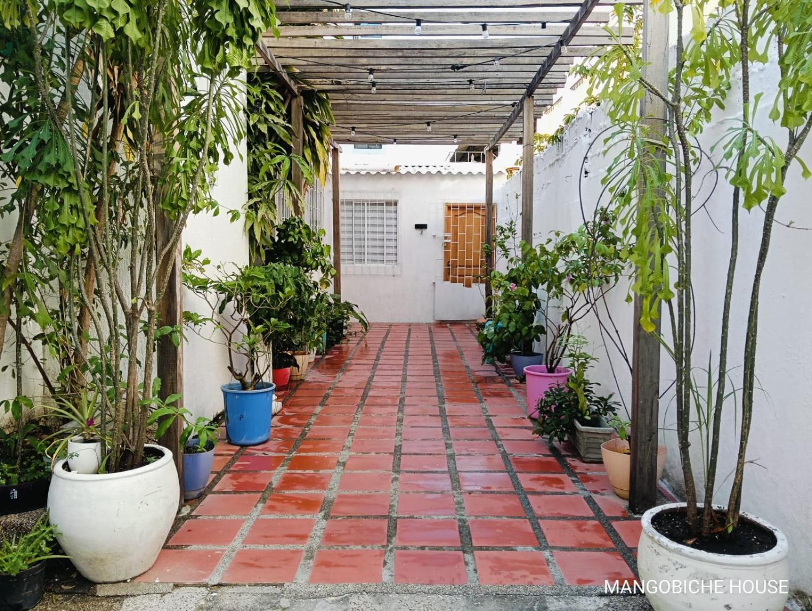 Mango Biche - House Bed & Breakfast Cartagena Ngoại thất bức ảnh
